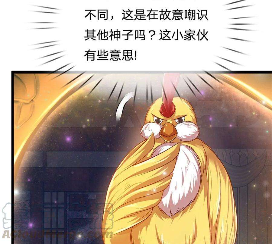 开局签到至尊丹田33话 你们想怎么赌？