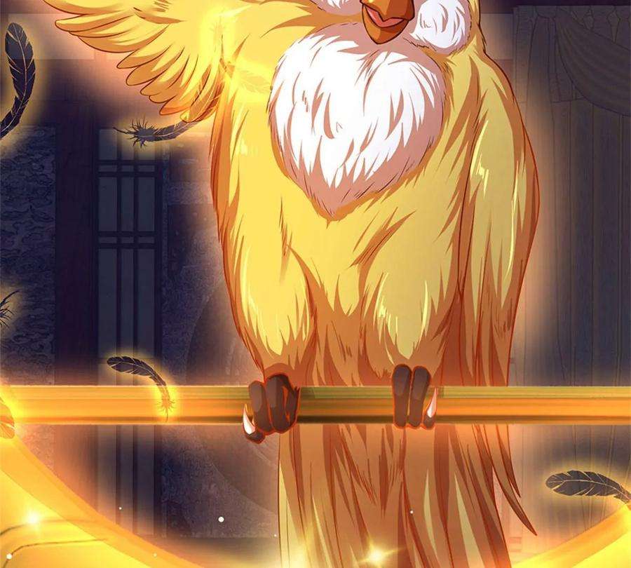 开局签到至尊丹田34话 鸟爷我给你们加彩头