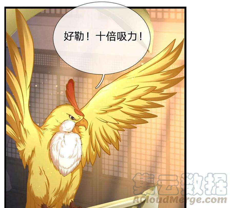 开局签到至尊丹田35话 鸟爷我还没看够