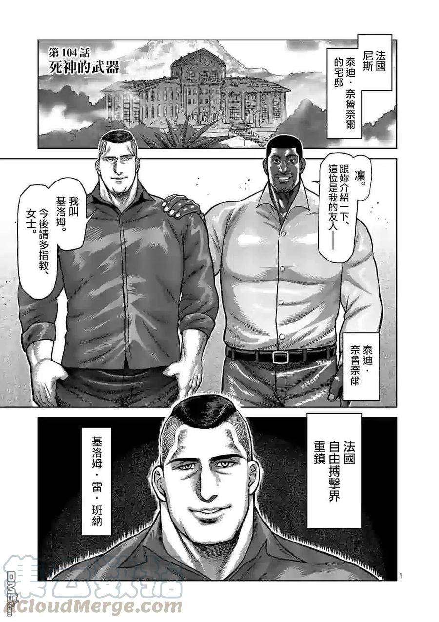 拳愿奥米迦100话