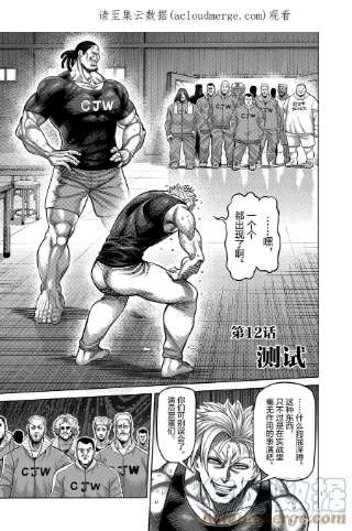 拳愿奥米迦12 测试