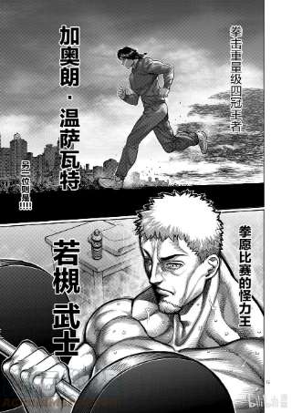 拳愿奥米迦13 行动