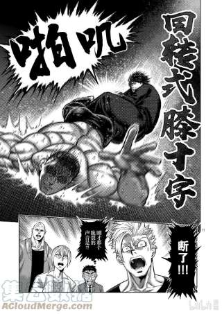 拳愿奥米迦22 伪身