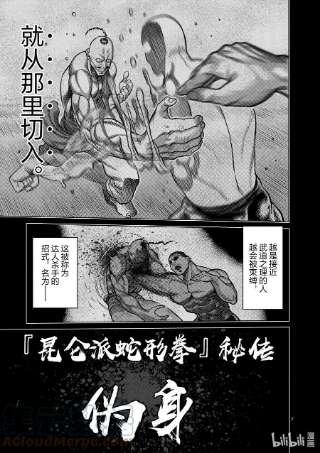 拳愿奥米迦22 伪身