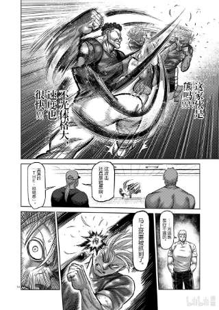 拳愿奥米迦35 解放