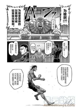 拳愿奥米迦60 真·梅戴尔
