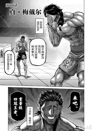 拳愿奥米迦60 真·梅戴尔