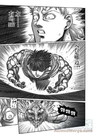 拳愿奥米迦65 隼的真面目