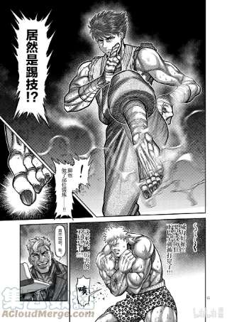 拳愿奥米迦65 隼的真面目