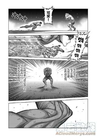 拳愿奥米迦68 独门绝技