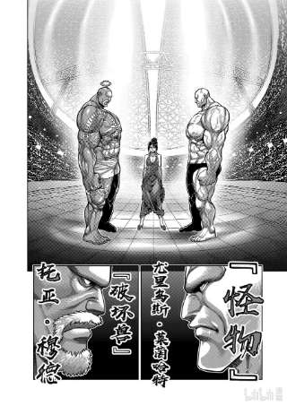 拳愿奥米迦71 重量级