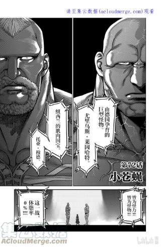 拳愿奥米迦72 小苍蝇