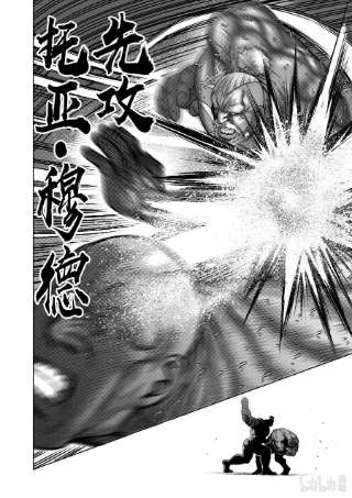 拳愿奥米迦72 小苍蝇