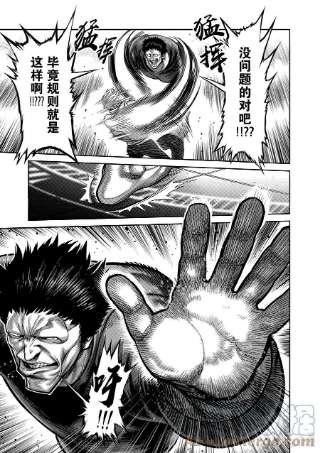 拳愿奥米迦77 规则之内