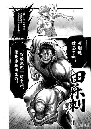 拳愿奥米迦77 规则之内