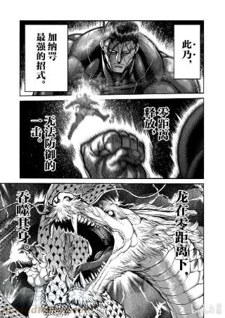 拳愿奥米迦93 继承人