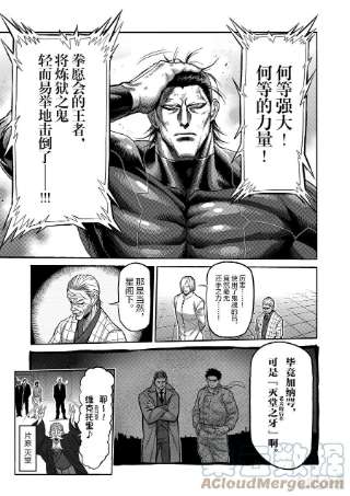 拳愿奥米迦93 继承人