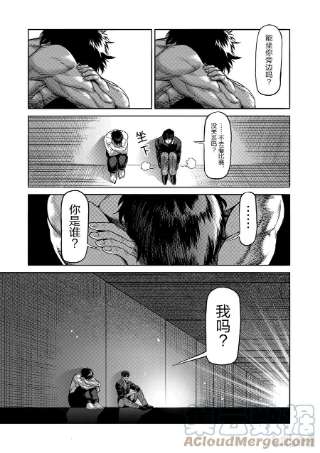 拳愿奥米迦93 继承人
