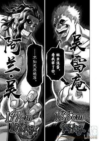 拳愿奥米迦95 话生