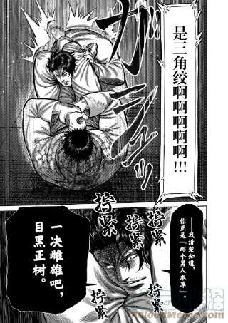 拳愿奥米迦100 少年M
