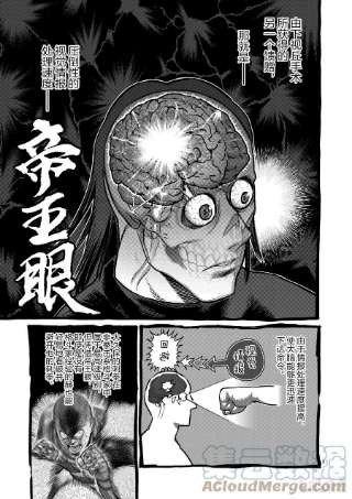 拳愿奥米迦118 另一个能力