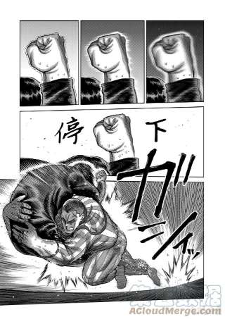 拳愿奥米迦119 差强人意