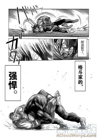 拳愿奥米迦119 差强人意