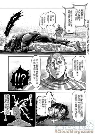 拳愿奥米迦119 差强人意