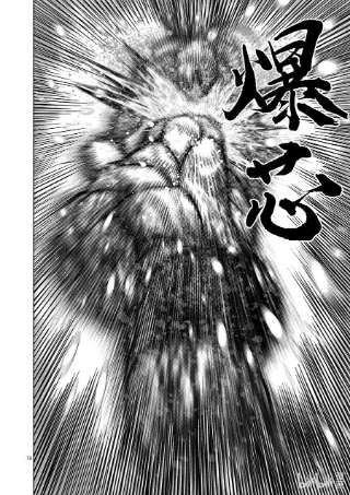 拳愿奥米迦126 现在