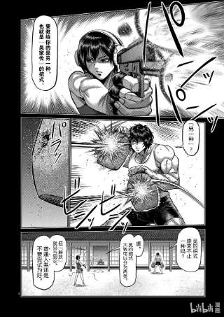 拳愿奥米迦132 吴家传