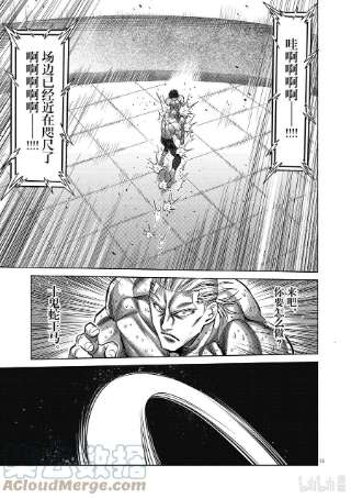 拳愿奥米迦132 吴家传
