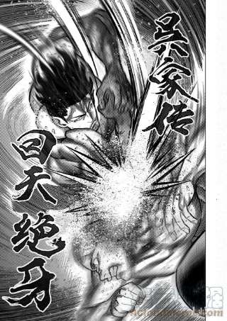 拳愿奥米迦132 吴家传