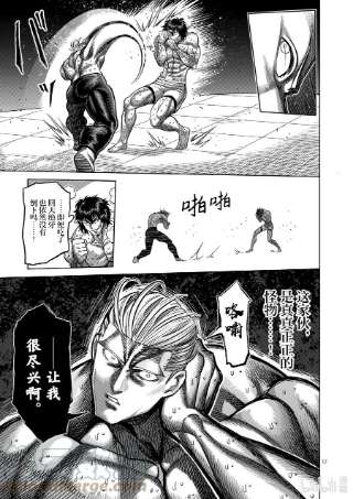 拳愿奥米迦132 吴家传