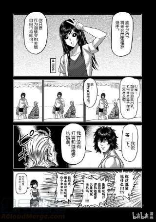 拳愿奥米迦132 吴家传