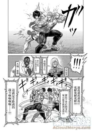 拳愿奥米迦132 吴家传