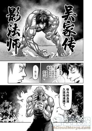拳愿奥米迦132 吴家传