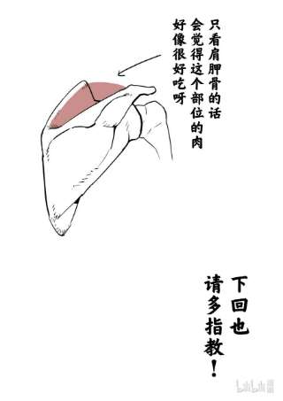 拳愿奥米迦133 罗伦