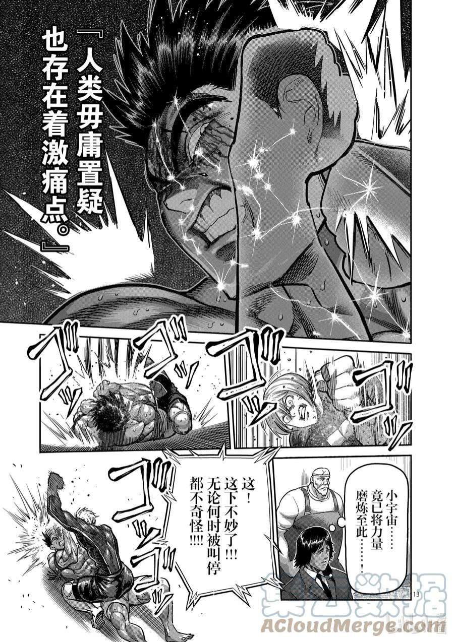 拳愿奥米迦171 激痛点