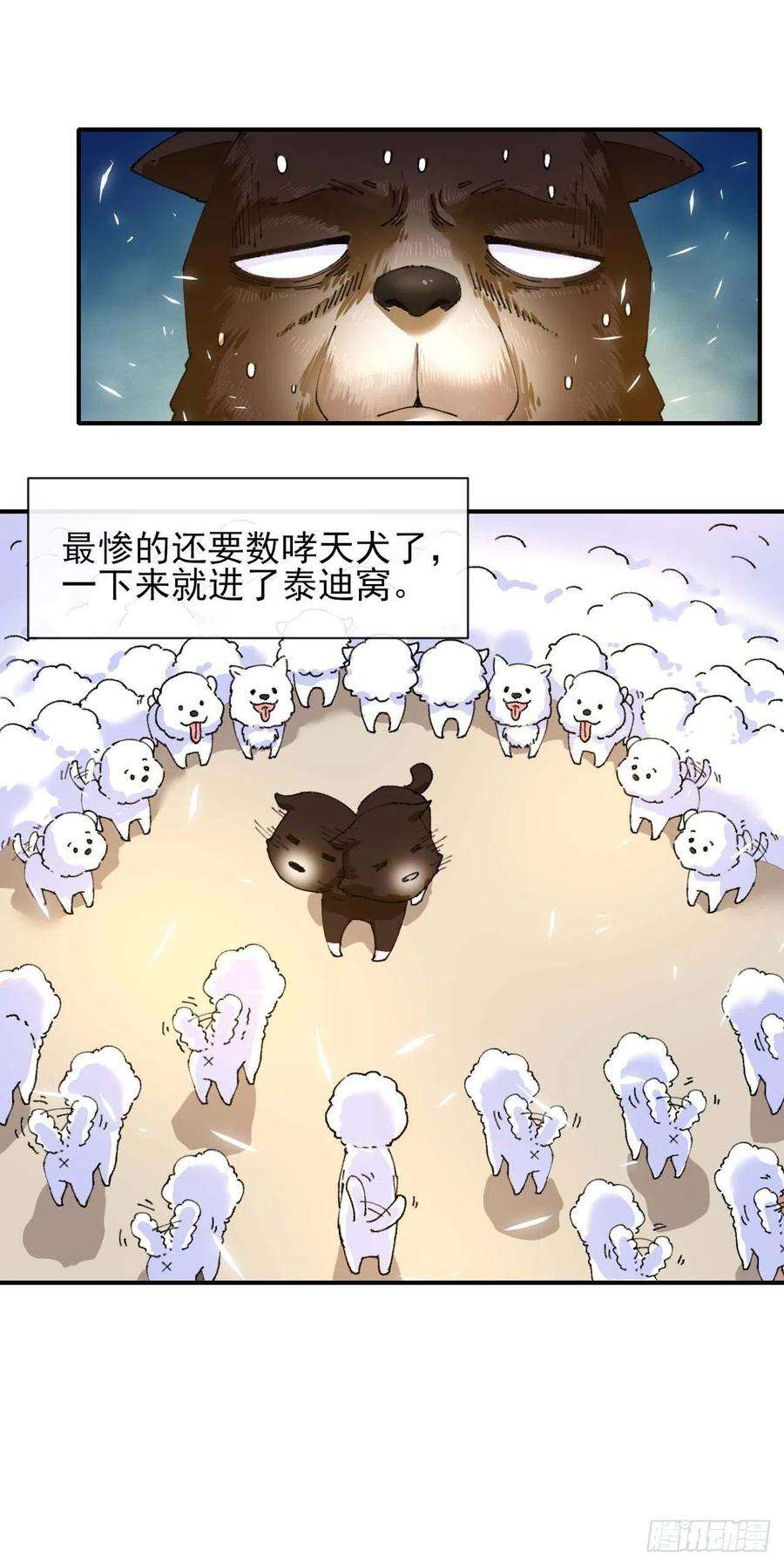 我的师姐稳得一批214星宿下乡