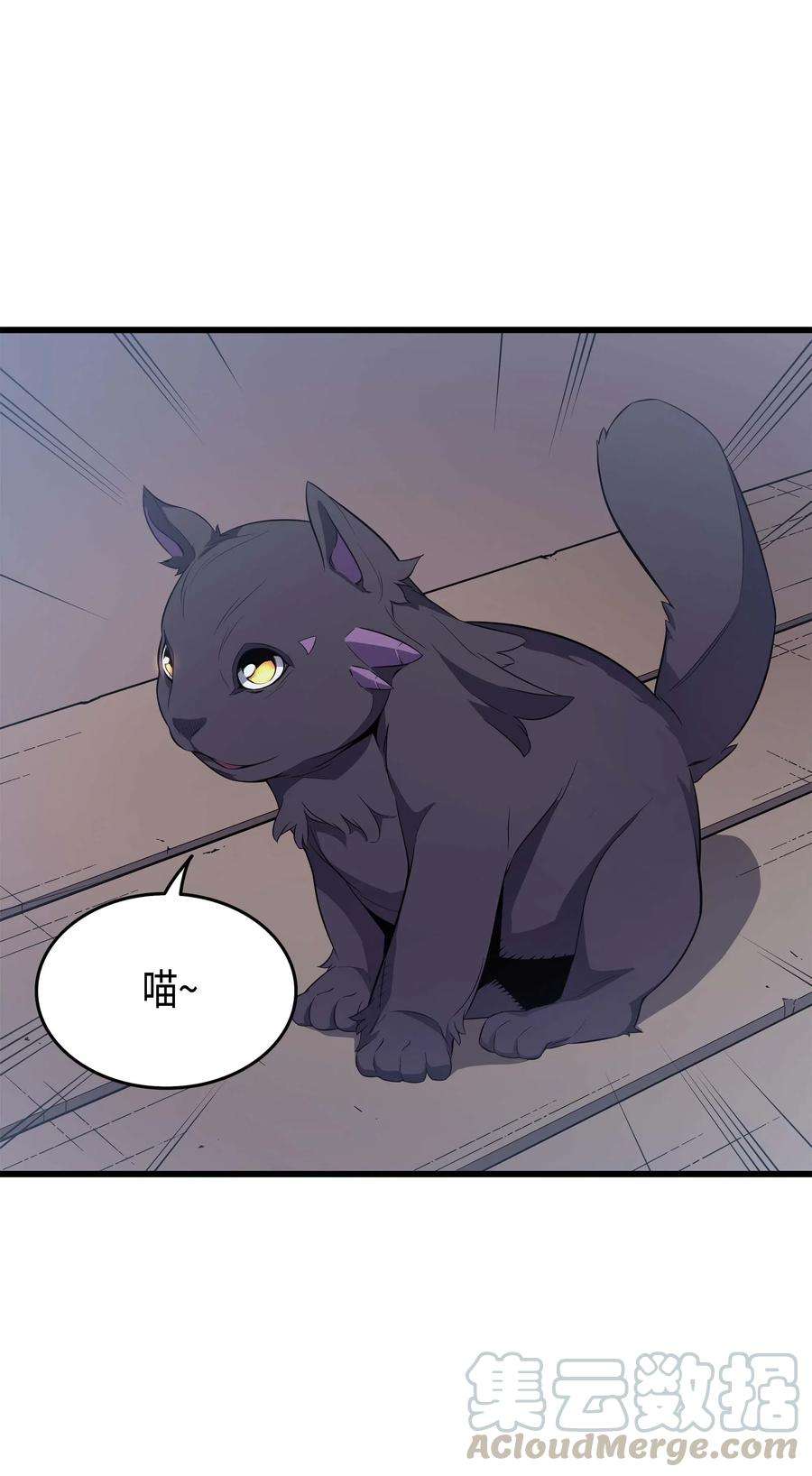 4000年后重生异世界的大魔导师61 圆桌会会长