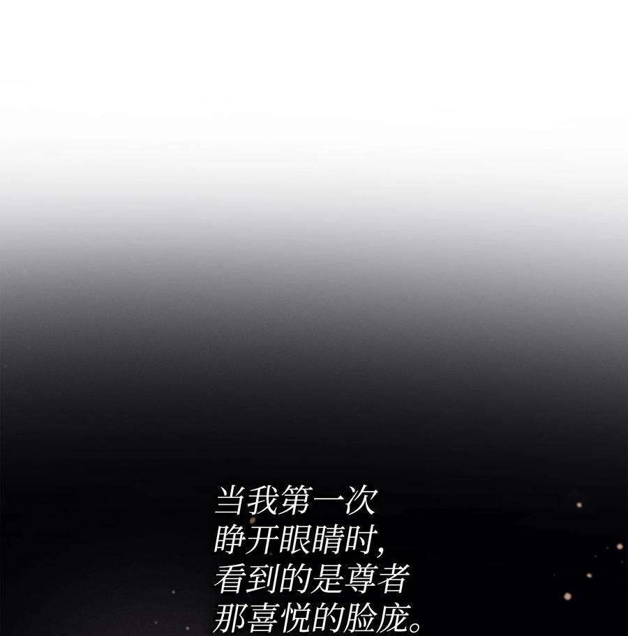 4000年后重生异世界的大魔导师103 伊利斯