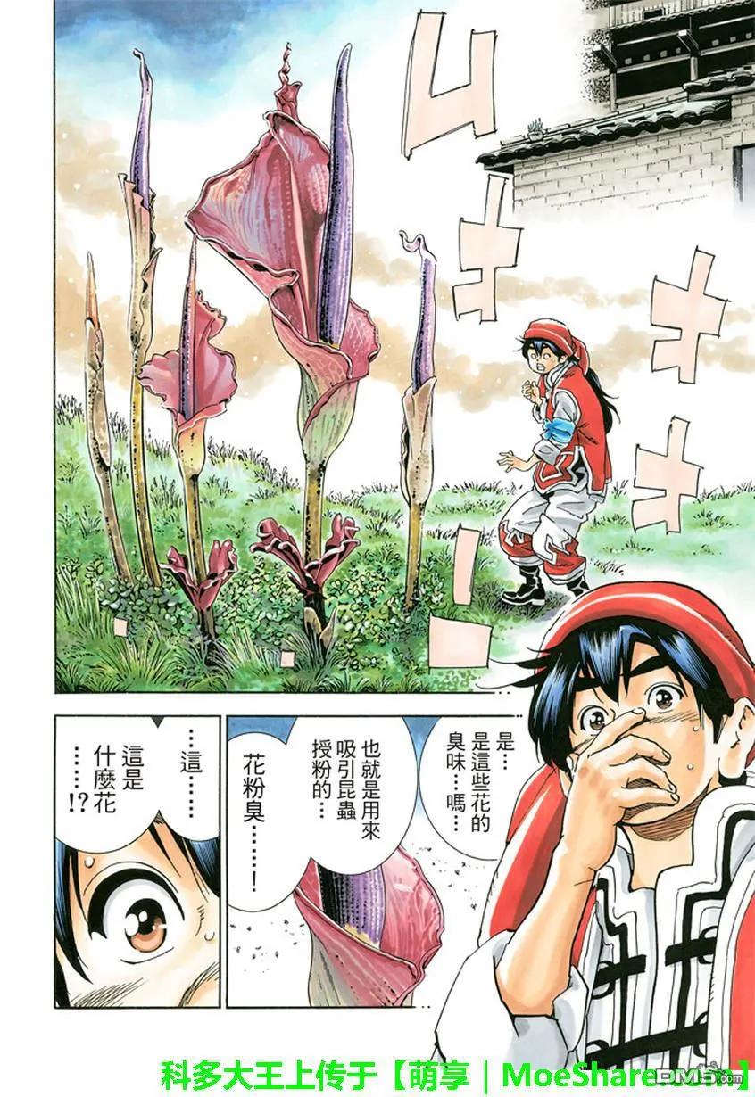 中华小当家！极13