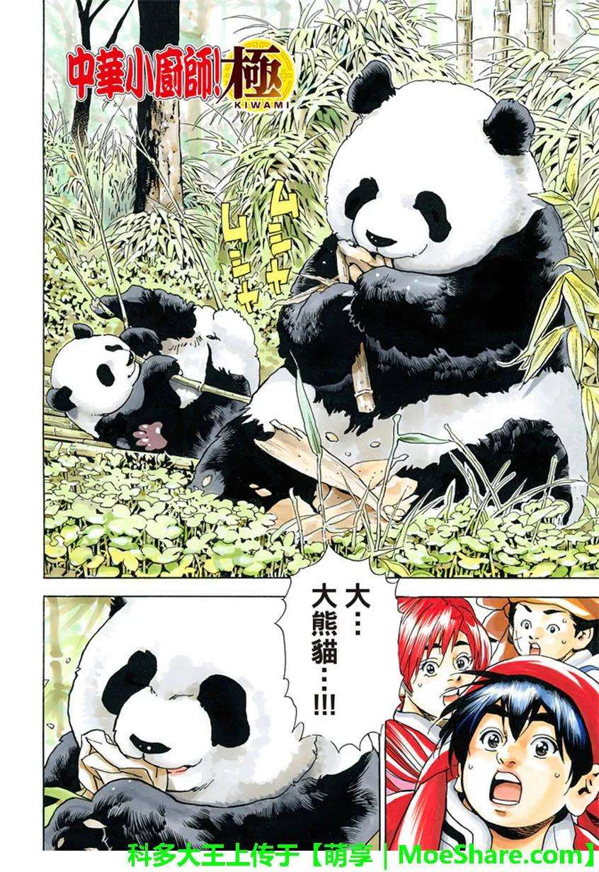 中华小当家！极15