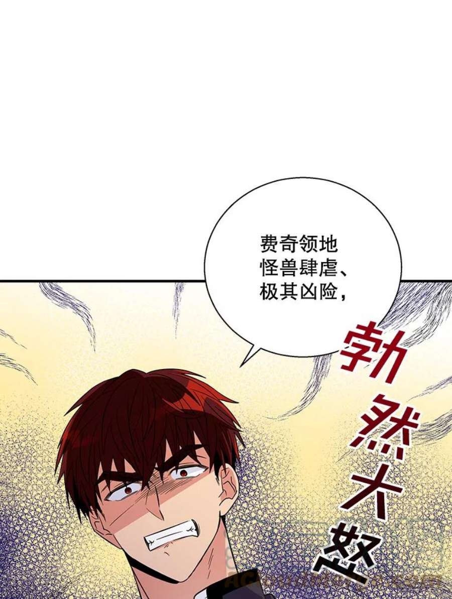 老公，我要罢工19.费奇领地