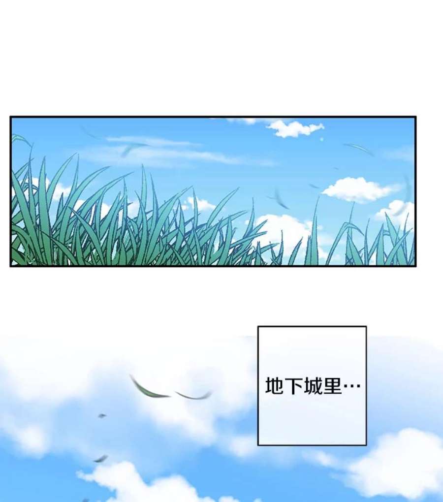 我在小说里当无赖16.1级地下城