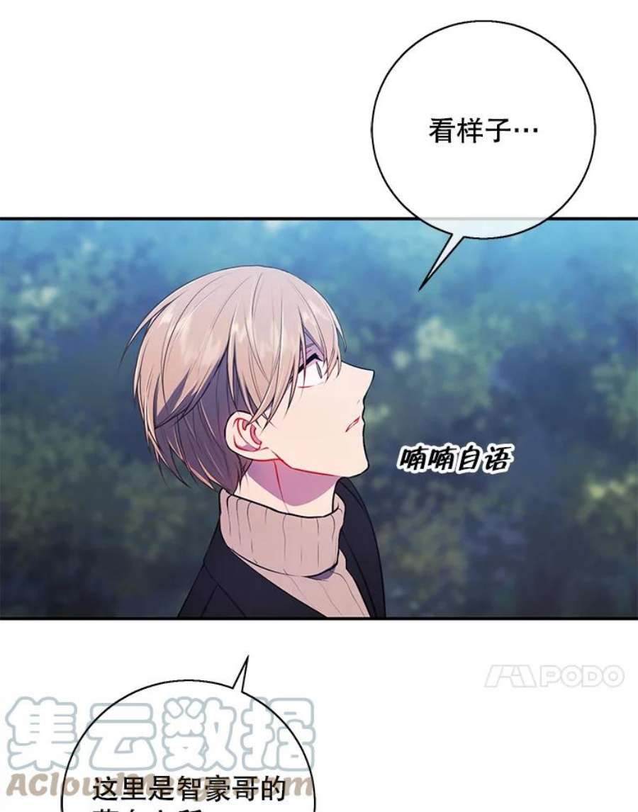 我在小说里当无赖24.崔智豪