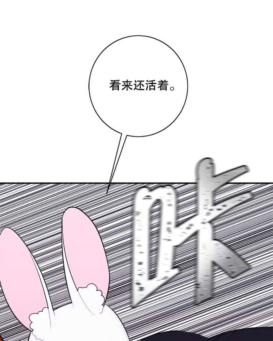 我在小说里当无赖36.兔子