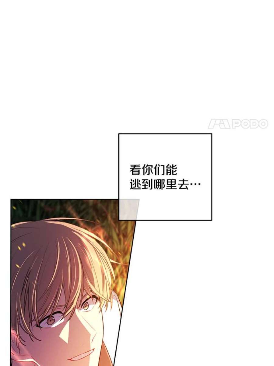 我在小说里当无赖49.战斗