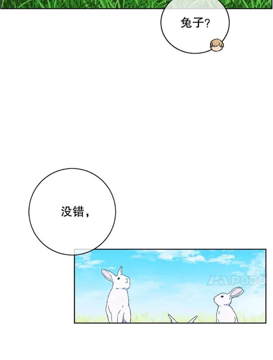 我在小说里当无赖55.离家出走的兔子