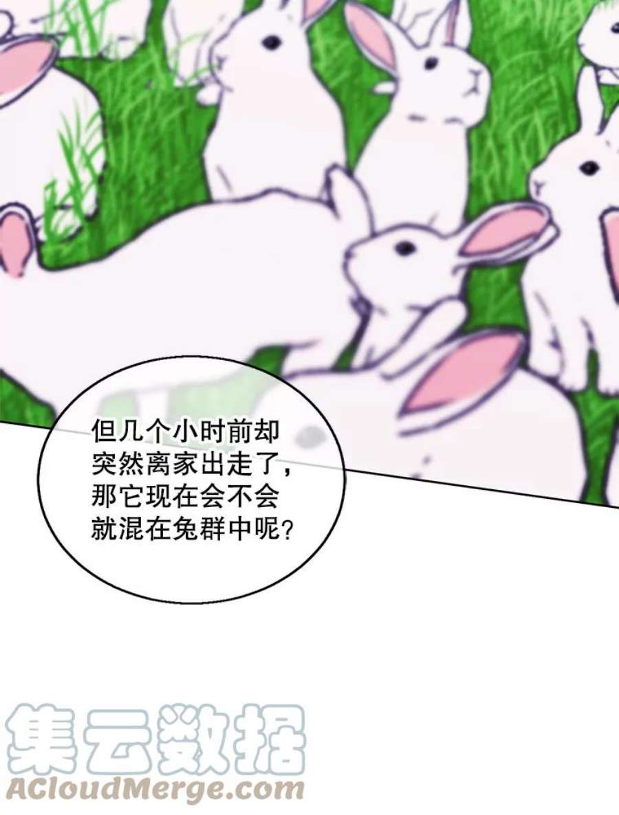 我在小说里当无赖55.离家出走的兔子